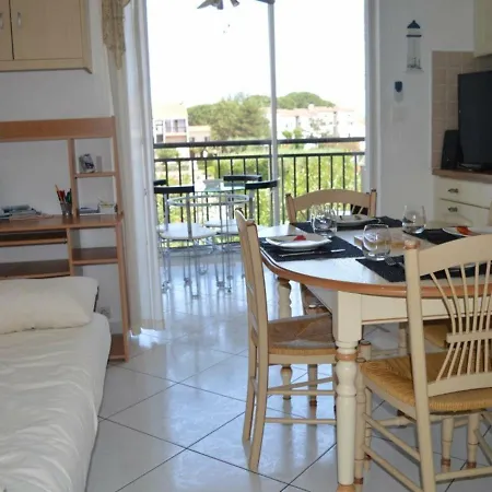 Apartment Confortable 2 Pieces Avec Parking Prive Et Terrasse - Saint-cyprien - Fr-1-225d-116 *